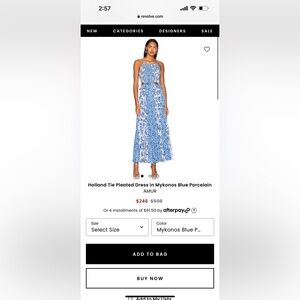 AMUR Women's Blue Porcelain Skirt